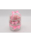 Paket Baby Pink